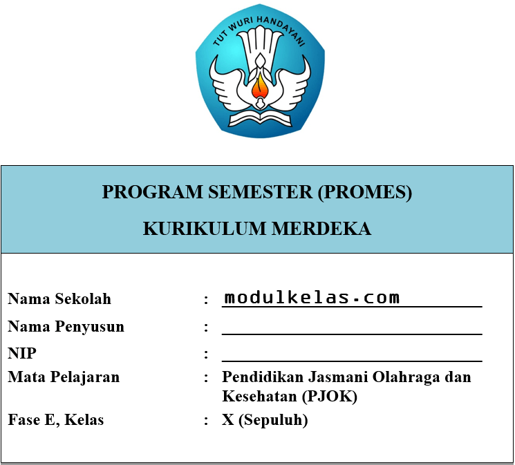 Promes PJOK Kelas 10 SMA/MA Fase E Kurikulum Merdeka